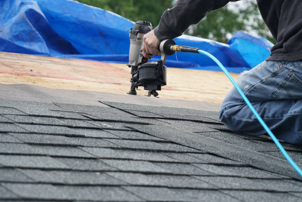 Best Green or Eco-Friendly Roofing Solutions  in Nyon Lake, CA